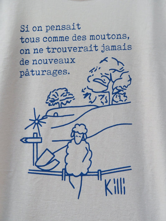 French quote on a shire like background